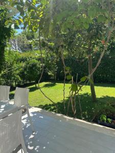 a table and two chairs next to a tree at Villa Amalia Perla Resort in Draçi +54 photos