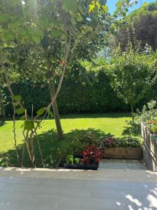 a garden with a tree and flowers in a yard at Villa Amalia Perla Resort in Draç +54 photos