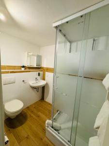 a bathroom with a shower and a toilet and a sink at HR RoomS in Hannover