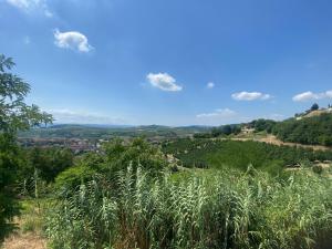 a view of the hills from the top of a hill at La casa Rosa in Piobesi dʼAlba +8 photos