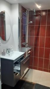 ein Badezimmer mit Waschbecken und Dusche mit Spiegel in der Unterkunft les prés de la reine in Saint-Doulchard