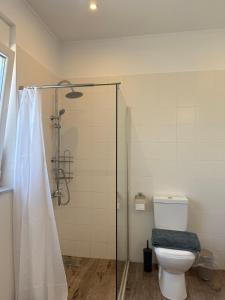 a bathroom with a shower and a toilet at Maison Soleil in Kastro Kyllini +8 photos