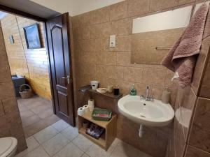 a bathroom with a sink and a toilet at Téli Berek Vendégház in Abod +166 photos