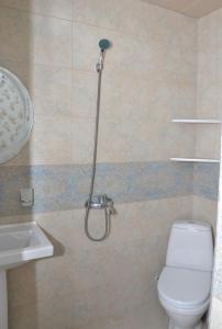 a bathroom with a shower with a toilet and a sink at Guest House NILI in Itʼkhvisi +19 photos