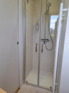 a shower with a glass door in a bathroom at Les terrasses de Condate - Rennes canal St Martin in Rennes