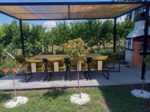Zahrada ubytování Vila Aleksandar