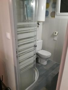 a bathroom with a toilet and a glass shower at Chalet a la montagne in Cornod