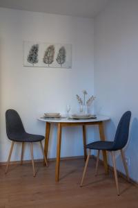 Fotografie z fotogalerie ubytování Small but cozy apartment v Mariboru