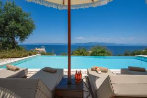 Πισίνα στο ή κοντά στο Villa Ionia with pool and sea view +46 φωτογραφίες