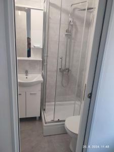 a bathroom with a shower and a toilet and a sink at Holiday Home in Trebinje