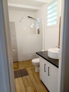 a white bathroom with a sink and a toilet at Résidence Mélodie 35m2 - Meublée et toute équipée - Maison de vacances #4 in Le Tampon +87 photos