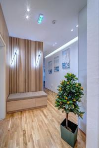 a waiting room with a bench and a potted plant at Spa King Apartments 1 in Belgrade