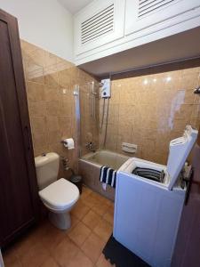 a bathroom with a toilet and a tub and a sink at Zygi Beachfront Retreat! in Zygi +5 photos