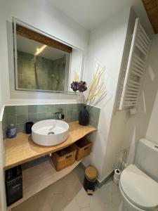 une salle de bain avec un lavabo, des toilettes et un miroir dans l'établissement Élégance & confort -2 chambres hyper centre, Clim, à Avignon