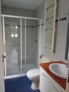 a bathroom with a shower and a toilet and a sink at Maison du Sacre-Coeur in Lourdes +9 photos