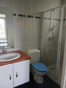 a bathroom with a toilet and a sink and a shower at Maison du Sacre-Coeur in Lourdes