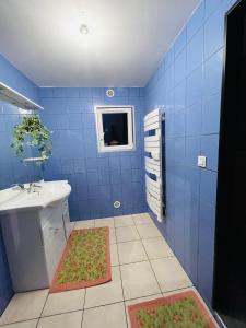 a blue tiled bathroom with a sink and a mirror at Maison 3 Donasete T2 in Vieille-Brioude