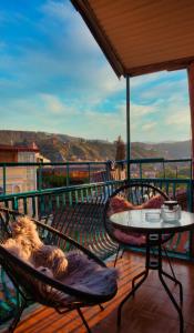 a dog laying on a chair on a balcony with a table at Hotel Tiflis Town in Tbilisi City