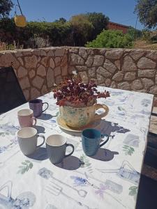 Fotografie z fotogalerie ubytování App Bonić v destinaci Veli Lošinj