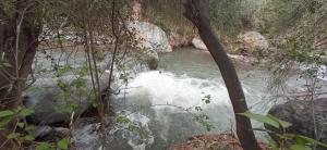 Photo de la galerie de l'établissement Cabaña Riecillos, à Los Andes