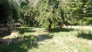 Photo de la galerie de l'établissement Cabaña Riecillos, à Los Andes 7 autres photos