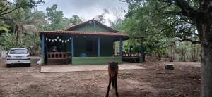 a dog standing in front of a small house at Chacara da Déia in Marituba
