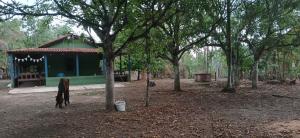 a dog standing in front of a green building with trees at Chacara da Déia in Marituba