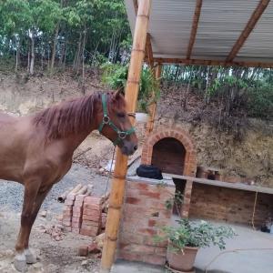 Photo de la galerie de l'établissement El Eden Glamping cabañas Girardot, à Girardot
