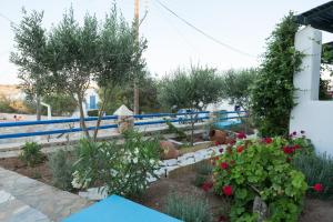 Zahrada ubytování Arpistis apartments koufonisia