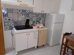 QuattromiglioにあるConfort home L da Vinciの白い冷蔵庫とカウンターに座っている犬がいるキッチン