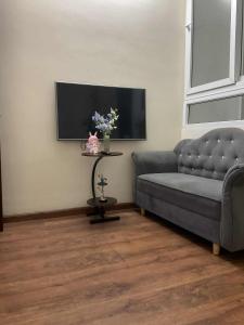 TV a/nebo společenská místnost v ubytování Ribi Home