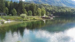 a view of a lake with people on the shore at Apartment Šija in Bohinj