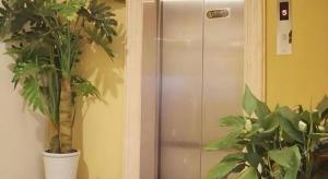 a hallway with two potted plants next to a elevator at GreenTree Inn Shanghai South Railway Station Xujiahui Stadium Subway Station Shell Hotel in Shanghai