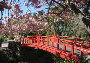 a red bridge in a park with pink flowers at Alpine Motel in Oamaru