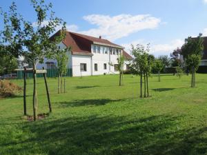 un groupe d'arbres dans un champ devant un bâtiment dans l'établissement Ferienhof Gliesner, à Usedom Town
