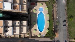 an overhead view of a large blue surfboard in a yard at Posidonia Mediterránea in El Borseral