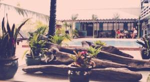 Insel Fehmarn Hotel内部或周边的泳池
