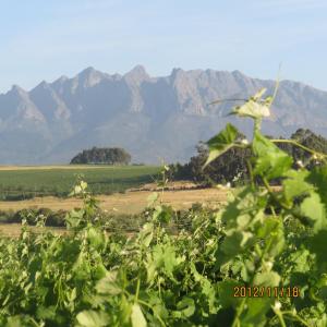 a view of a field with mountains in the background at Rooiheuwel Cottage in Wellington