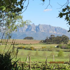 a view of a field with mountains in the background at Rooiheuwel Cottage in Wellington