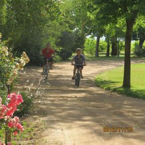 two children riding bikes down a dirt road at Rooiheuwel Cottage in Wellington