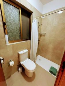 a bathroom with a toilet and a shower at SeaView Sunset Gozo in Marsalforn