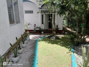 Taman di luar Roseviana