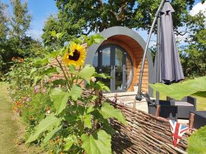 a sunflower in front of a tiny house at Orielton Fach Farm - Cosy rural lodge in beautiful surroundings in Pembrokeshire