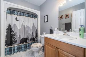 莱昂斯黑德Huron retreat, near beach & pet friendly的浴室设有卫生间、水槽和淋浴帘 更多35张照片
