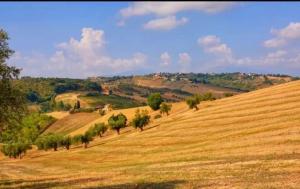 Gallery image of country house pecora nera in Montone
