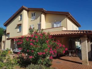 En have udenfor country house pecora nera