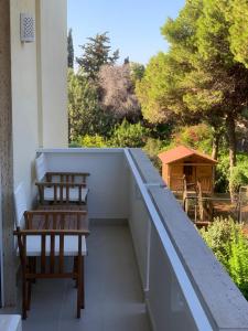 a balcony with two chairs and a view of trees at B&B Madreperla in Gallipoli
