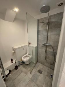 un baño con ducha y WC en Bright, well furnished apartment, en Hillerød