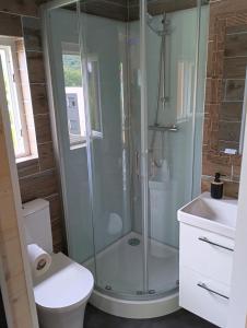 a bathroom with a shower with a toilet and a sink at Résidence des Sapins in Liverdun