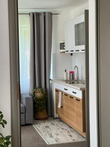 Dapur atau dapur kecil di Apartament u Gogoca II